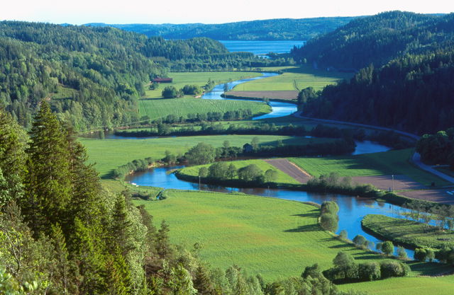 Munkedal