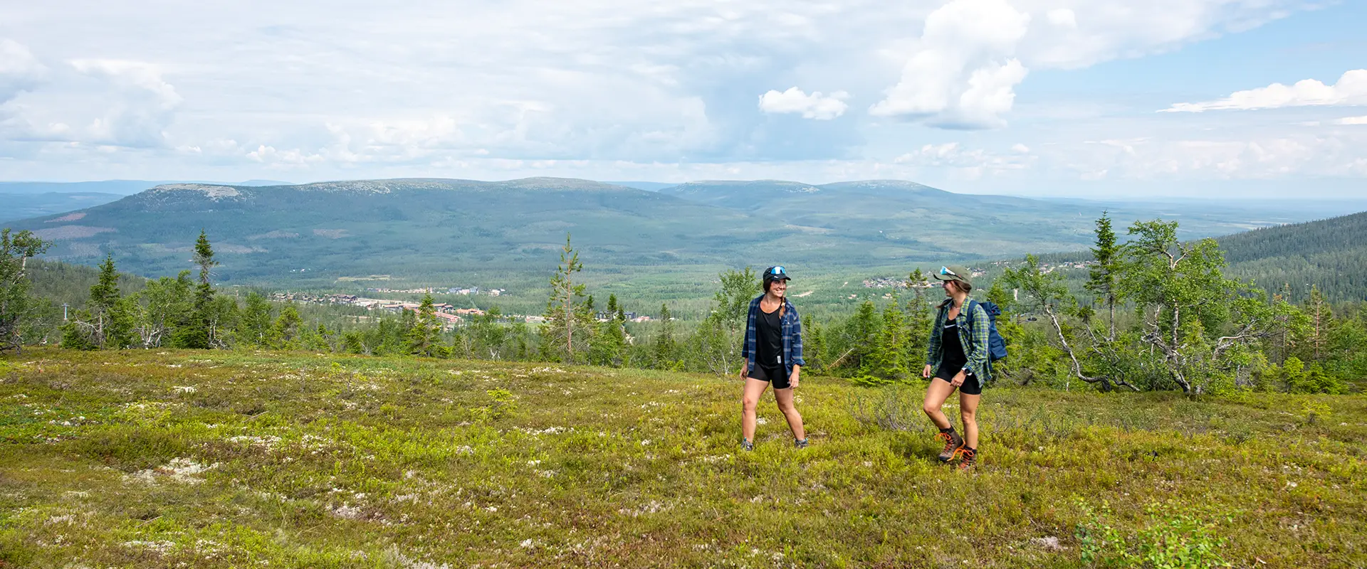 Sälenfjällen